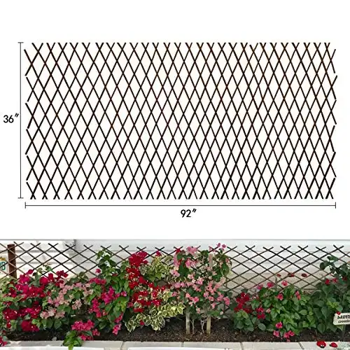 LANDGARDEN Expandable Garden Trellis Plant Support Willow Lattice Fence Panel for Climbing Plants Vine Ivy Rose Cucumbers Clematis 36X92 Inch