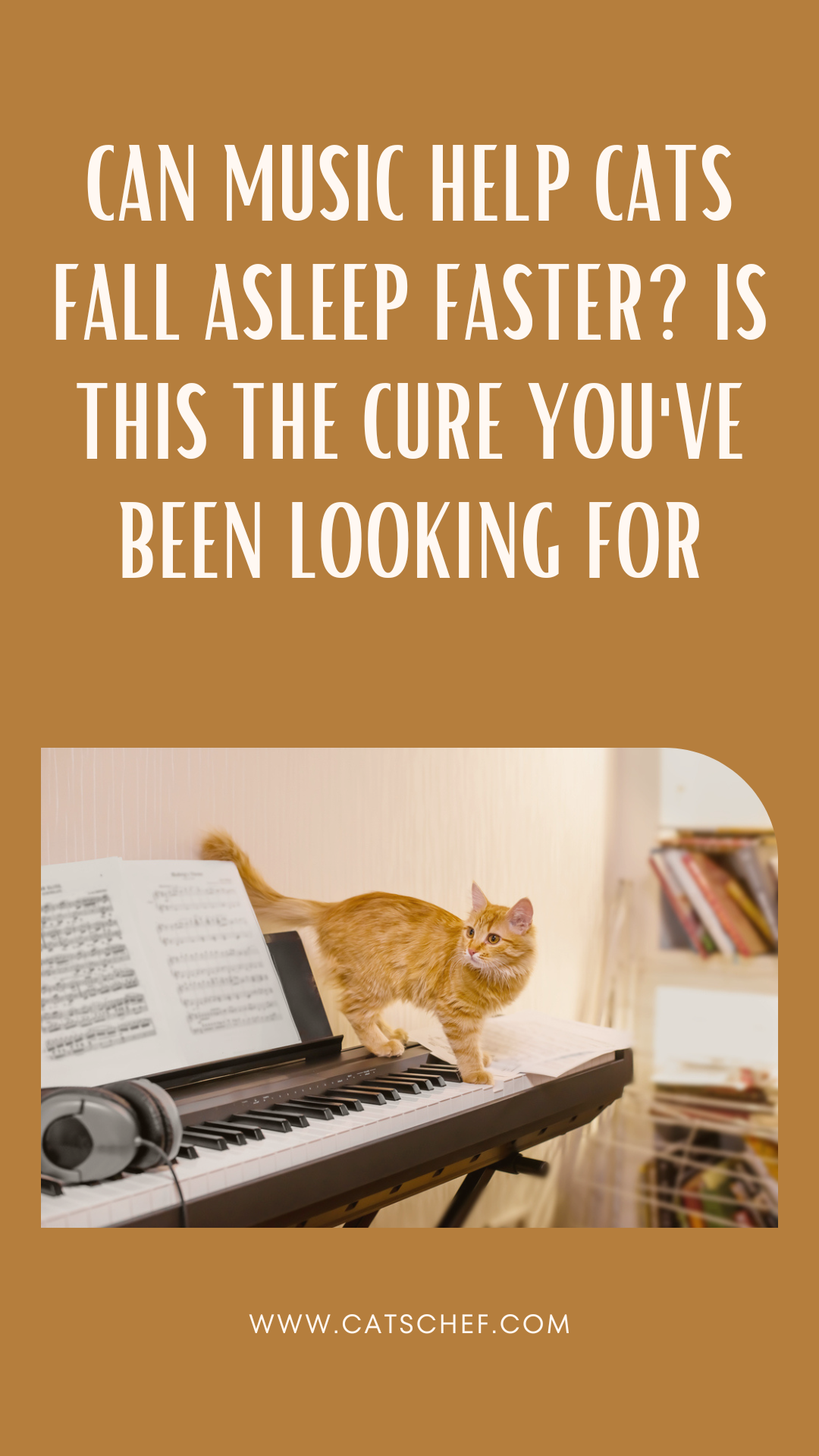 Can Music Help Cats Fall Asleep Faster? Is This The Cure You've Been Looking For