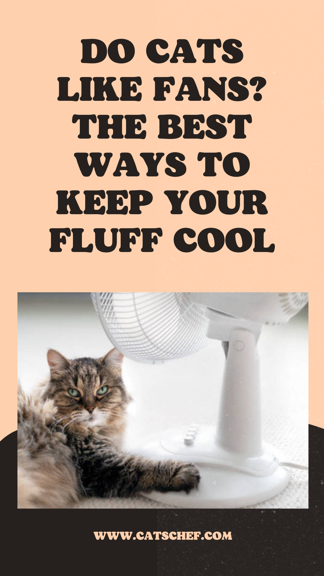 Do Cats Like Fans? The Best Ways To Keep Your Fluff Cool