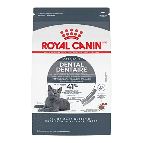 Royal Canin Feline Care Nutrition Dental Care Kuru Kedi Maması, 6 lb torba