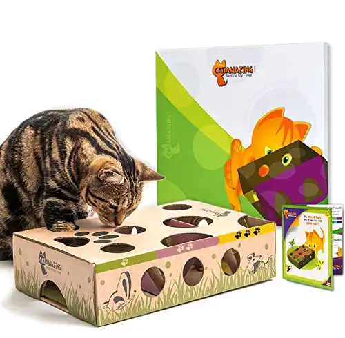 Cat Amazing Classic - Kedi Bulmaca Besleyici - İnteraktif Zenginleştirme Oyuncağı - Kedi Ödül Bulmaca Kutusu - İç Mekan Kedileri için Mama Labirenti - Şimdiye Kadarki En İyi Kedi Oyuncağı!
