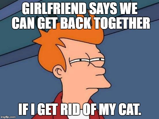 Girlfriend Told Him That They Could Get Back Together If He Gets Rid Of His Cat