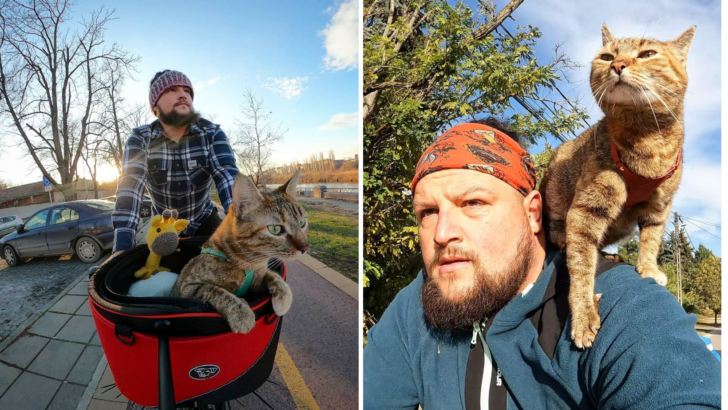 Bu Bisikletçi Yol Kenarında Bir Kedi Buluyor ve Onu Dünya Turu Yolculuğuna Çıkarıyor