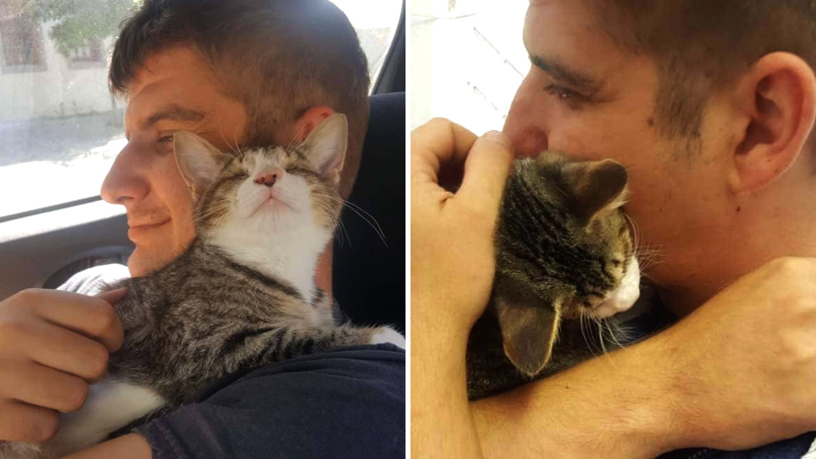 This Once Abandoned, Blind Cat Can't Stop Hugging Her New Dad