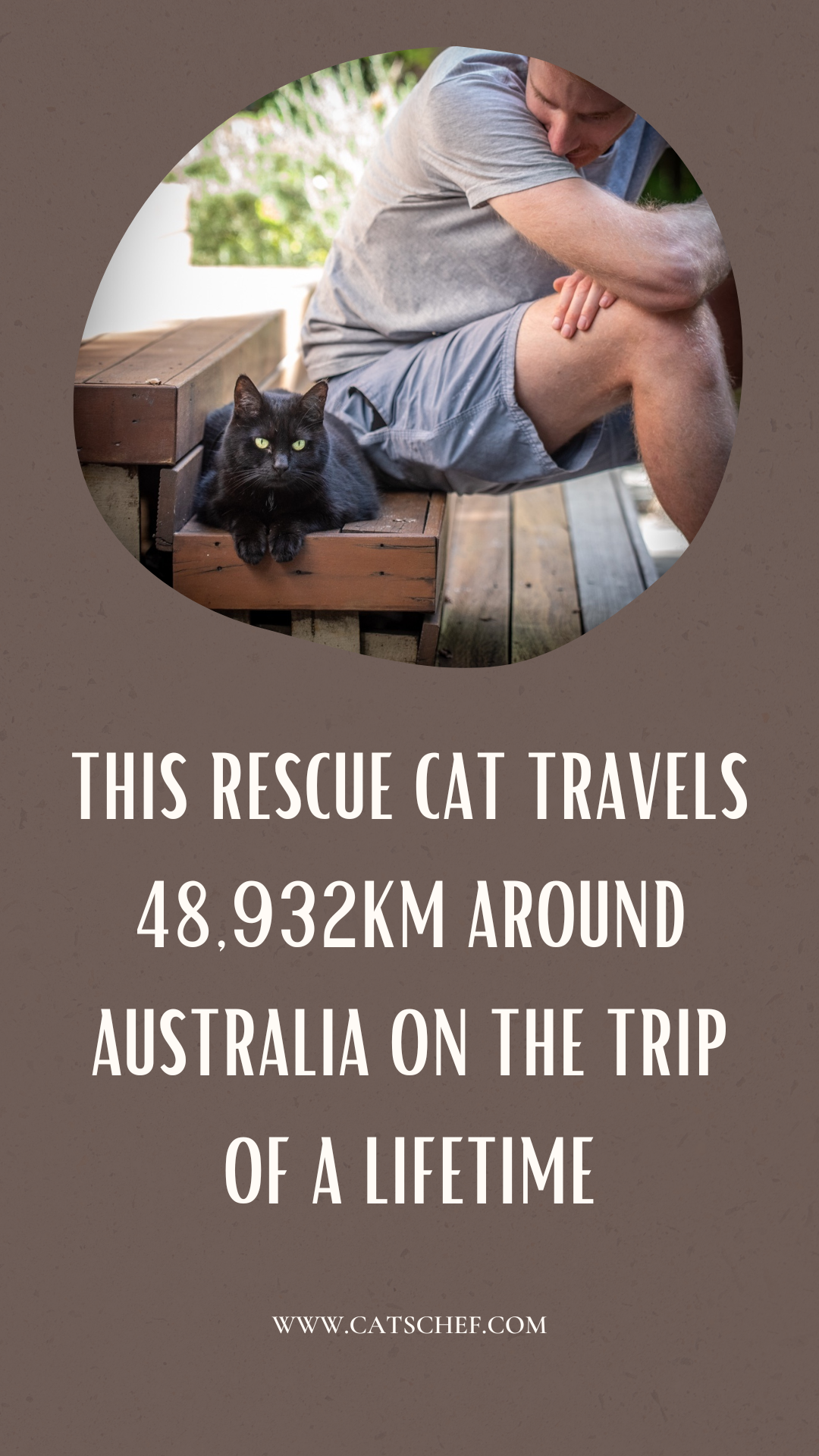 Bu Kurtarılmış Kedi Hayatının Yolculuğunda Avustralya'yı 48.932 Km Dolaştı