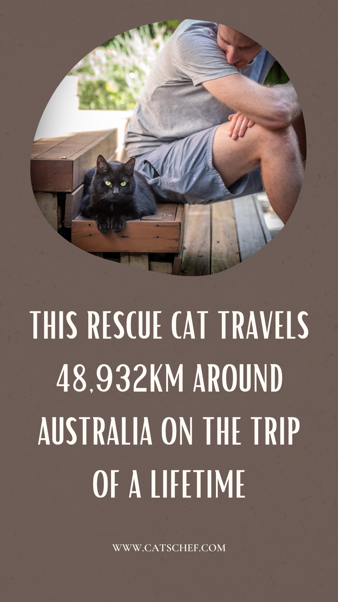 This Rescue Cat Travels 48,932km Around Australia On The Trip Of A Lifetime