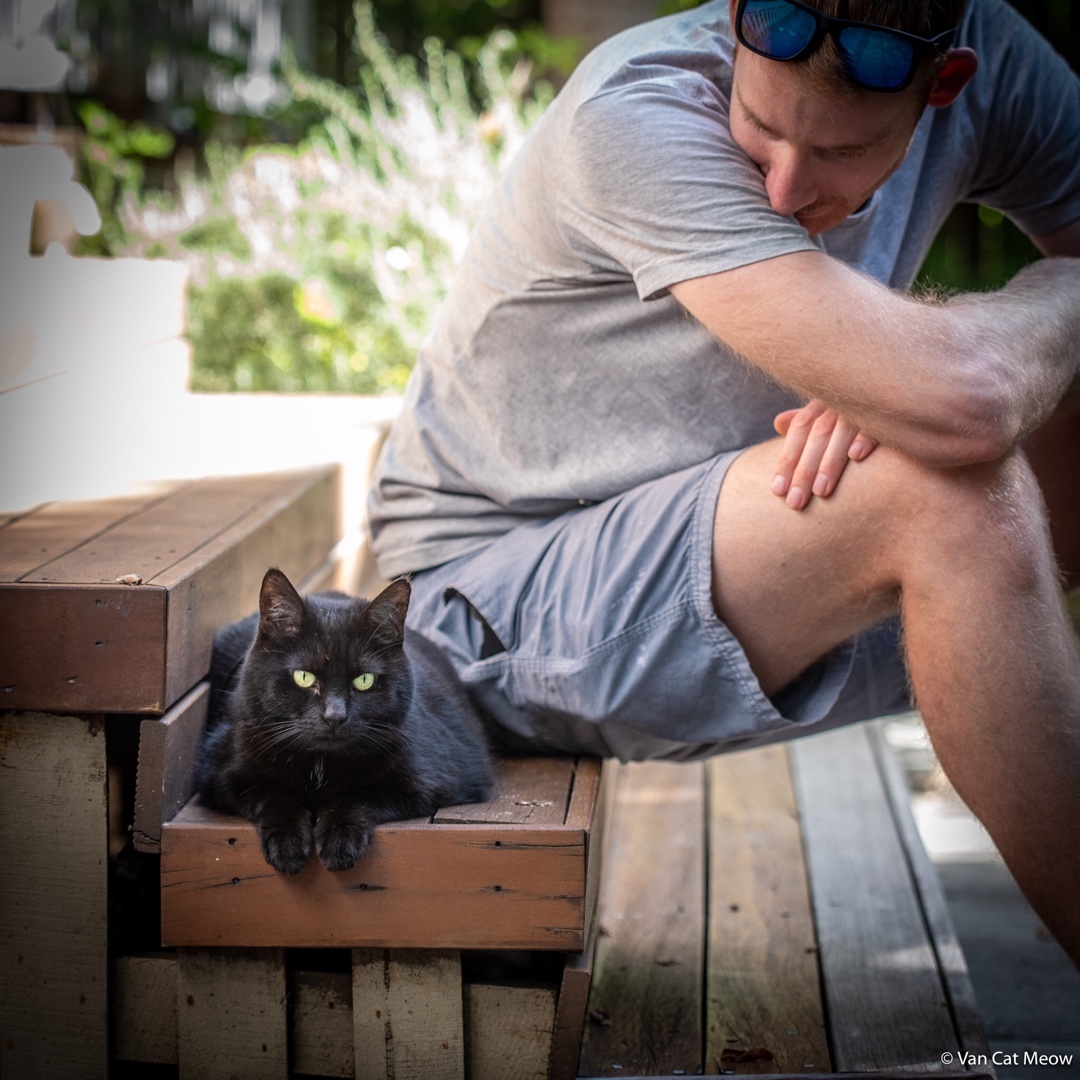 This Rescue Cat Travels 48,932km Around Australia On The Trip Of A Lifetime