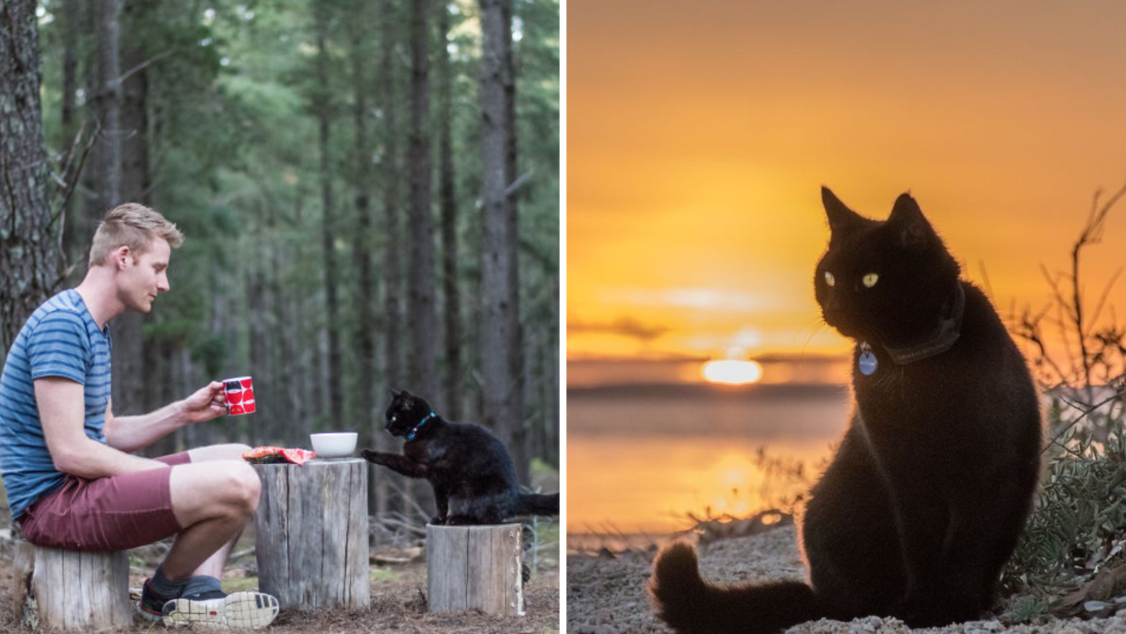 This Rescue Cat Travels 48,932km Around Australia On The Trip Of A Lifetime