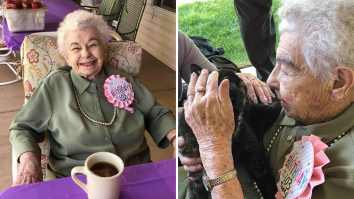 103 Yaşındaki Kadına Doğum Günü Sürprizi Olarak Yuvaya İhtiyacı Olan Bir Kedi Alındı