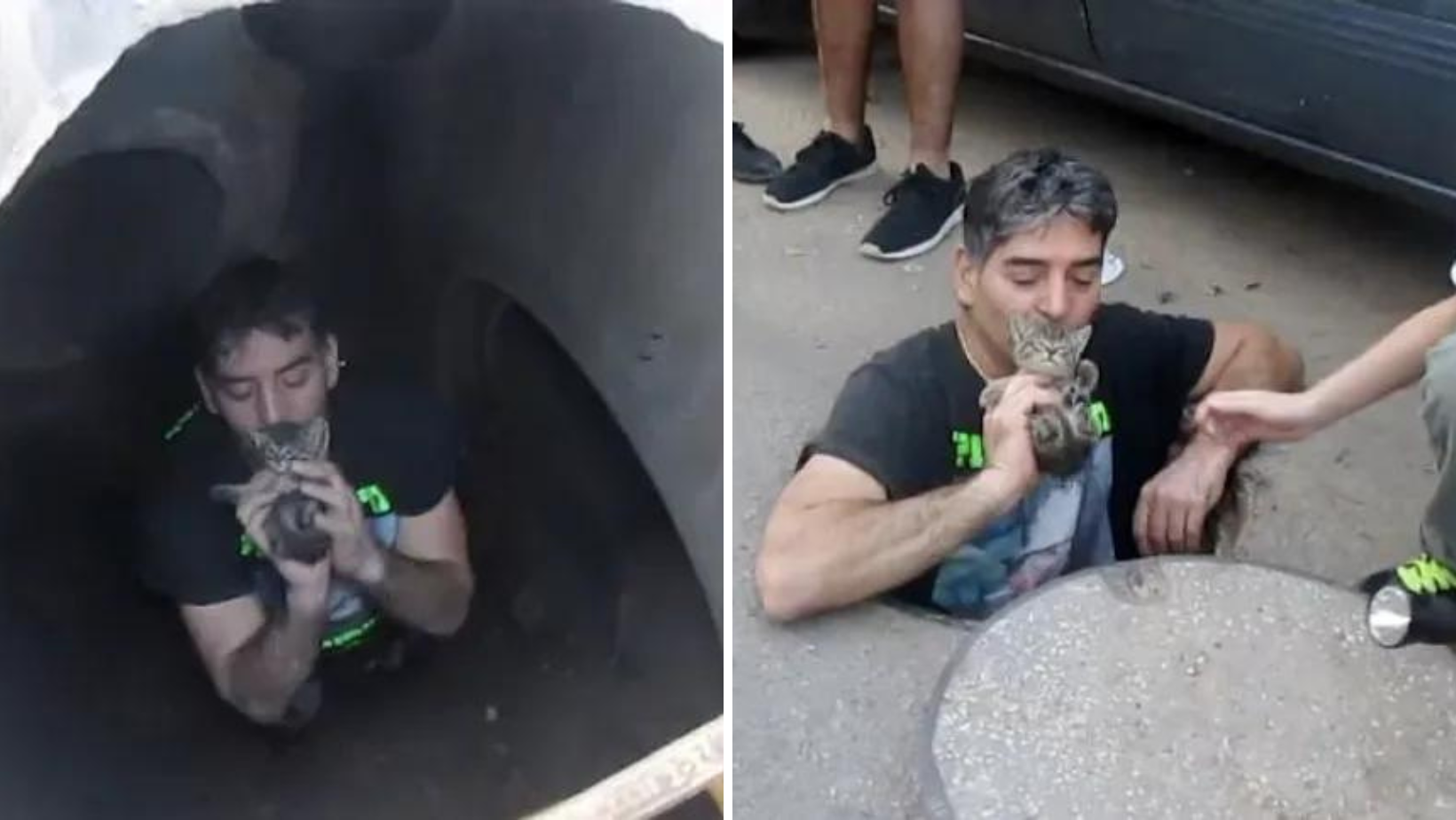 Brave Man Goes Down A Storm Drain To Save A Tiny Kitty