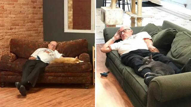 Old Grandpa Volunteers At Shelter And Naps With Cats, Every Day For Six Months
