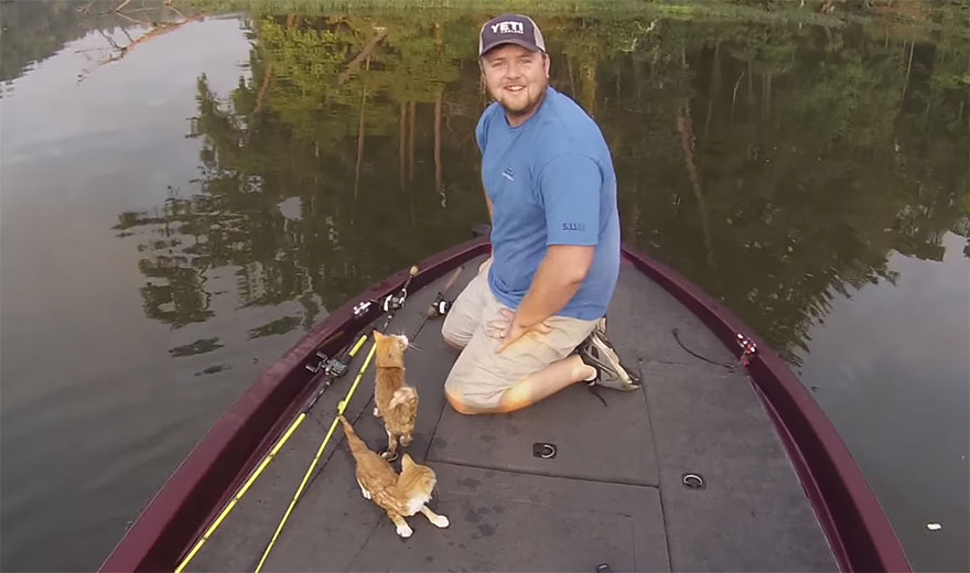These Guys Went Fishing And Ended Up Catching Abandoned Kitties