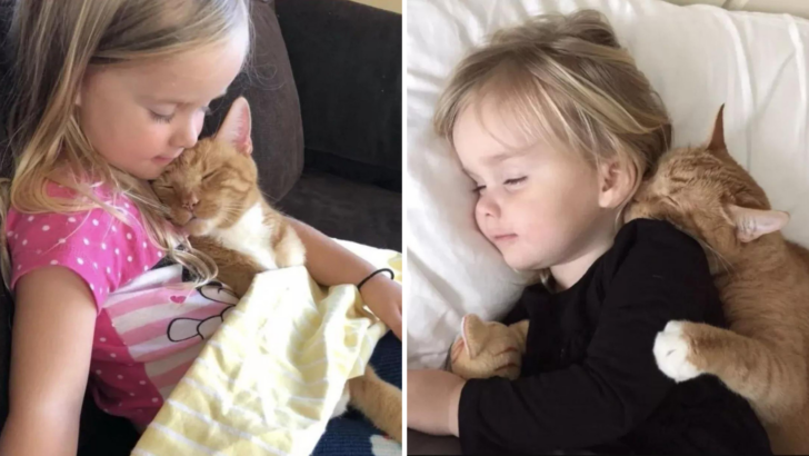 This Adorable Girl Keeps Singing To Her Cat As He Passes Away In Her Arms