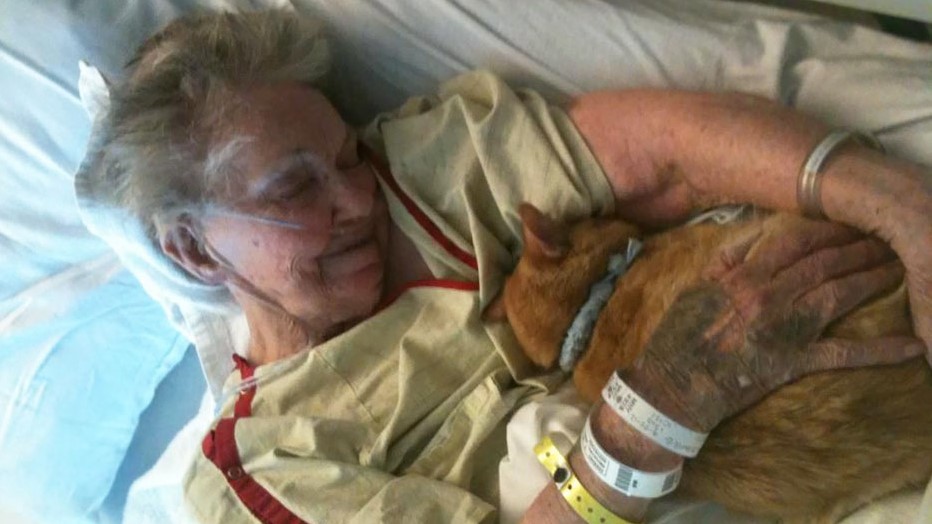 This Elderly Woman Has A Dying Wish: To Say Goodbye To Her Cat Buddy