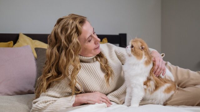 why do cats like being slapped