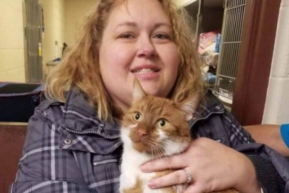 This Rescue Cat Is A Real Hero: He Helps Other Cats Find Forever Homes