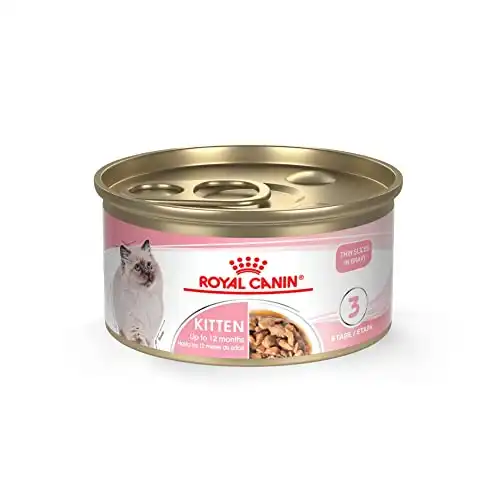 Royal Canin Feline Health Nutrition Kitten Thin Slices in Gravy Canned Cat Food, 3 oz Can