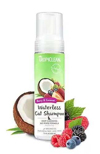 TropiClean Berry Hindistan Cevizi Susuz Kedi Şampuanı