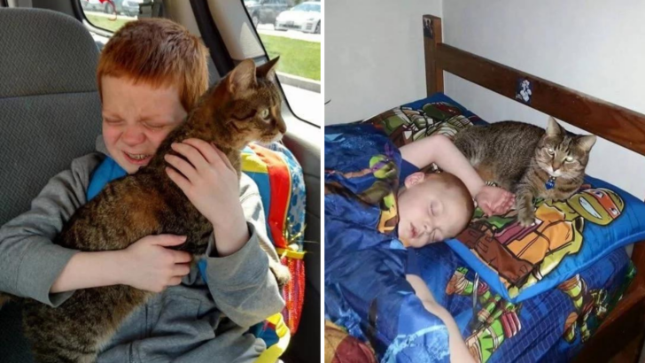 Autistic Boy Starts Crying As He Gets Reunited With His Cat