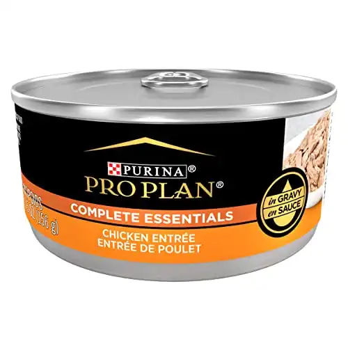 Purina Pro Plan Complete Essentials Yüksek Proteinli Kedi Maması Gravy, Yaş Kedi Maması Tavuklu Başlangıç - (24) 5,5 oz. Kutular
