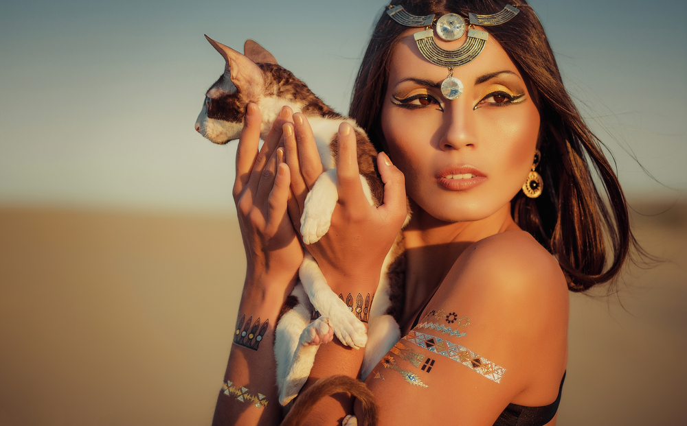 Antik Mısır'daki Kediler Hakkında Dudak Uçuklatan 10 Tarihi Gerçek