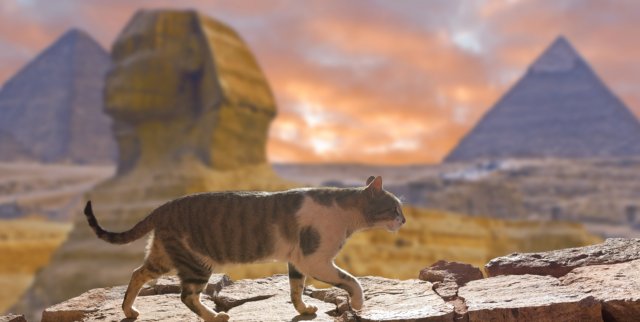Historical Facts About Cats in Ancient Egypt