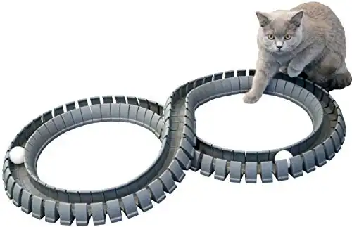 Magic Cat Track and Ball Toy for Cats