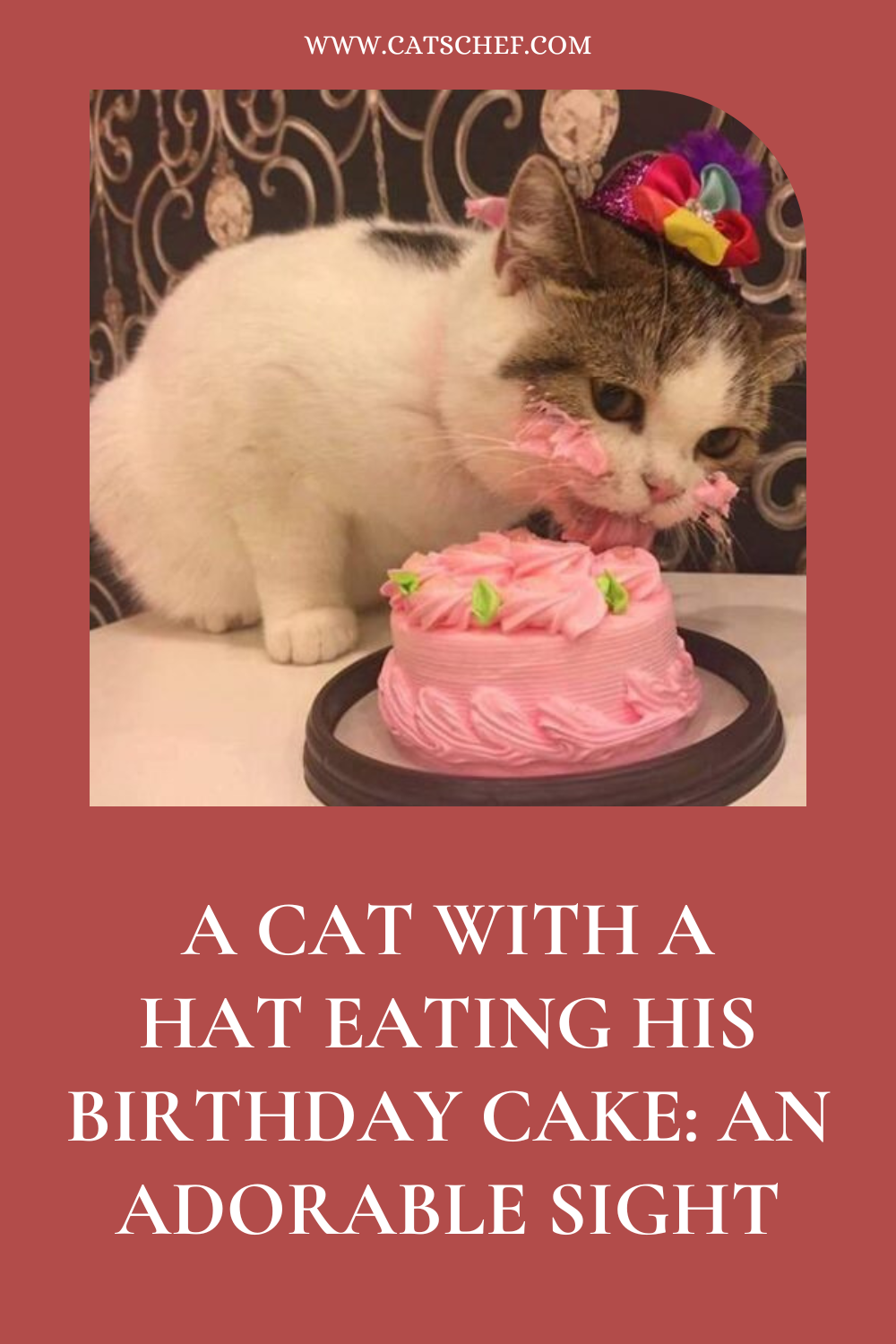 Şapkalı Bir Kedi Doğum Günü Pastasını Yiyor: Sevimli Bir Görüntü