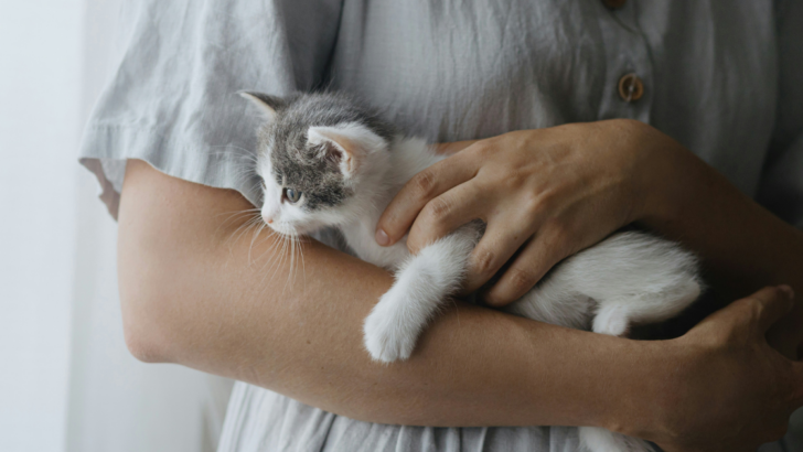 10 Signs You Have A Special Connection With Your Cat