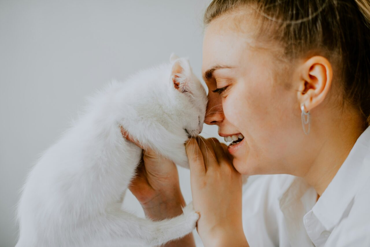 Is Your Cat Stressed Pay Attention To These 10 Signs