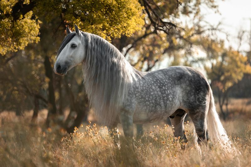 10 Horse Breeds Unsuitable for First-Time Riders