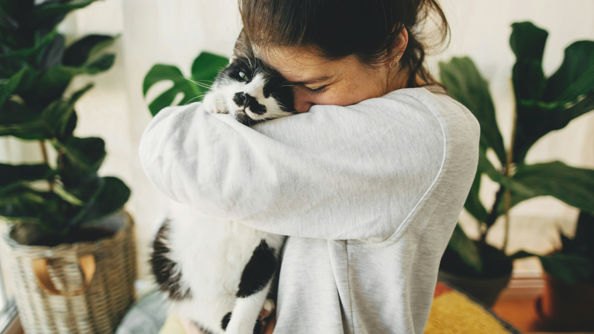 10 Ways Your Cat Is Secretly Improving Your Health