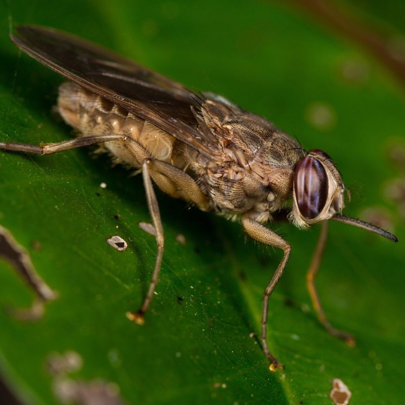 12 Small but Lethal Creatures You Don’t Want to Mess With