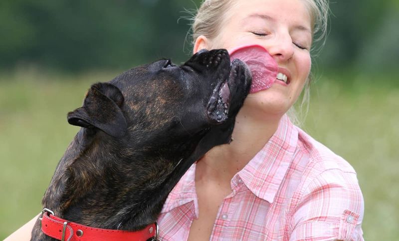 18 Endearing Ways Your Dog Says 'I Love You' Without Words