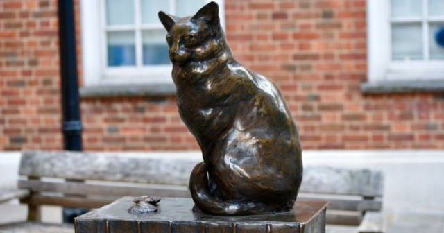 5 Famous Cats That Changed the Course of History
