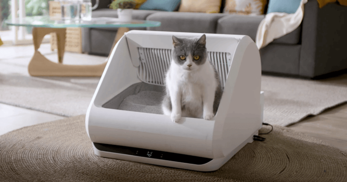 5 Signs Your Cat Needs a New Litter Box Setup