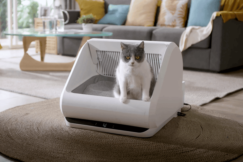 5 Signs Your Cat Needs a New Litter Box Setup