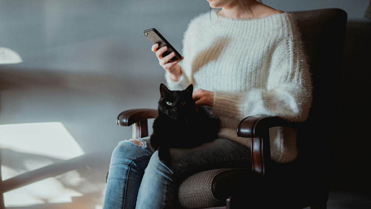 5 Ways Smart Gadgets Are Making Life Better for Cats (and Their Humans)