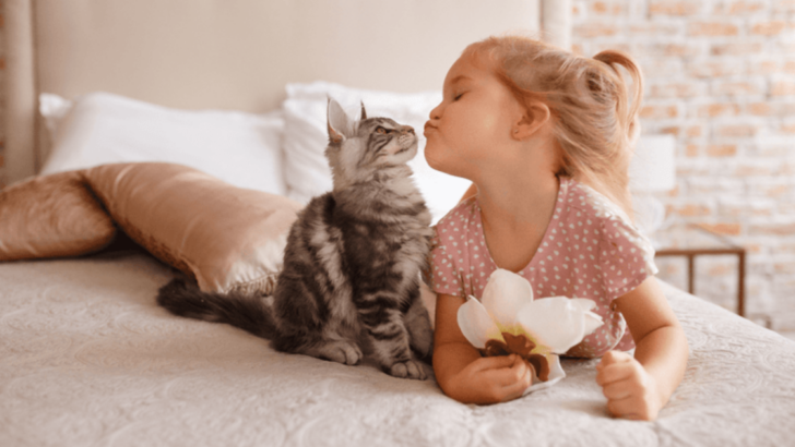 6 Simple Steps to Introduce Your Cat to Your Kids In the Best Way Possible