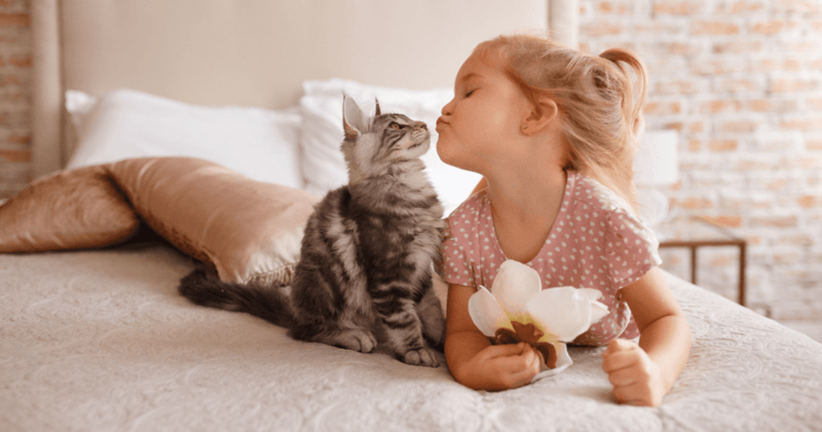 6 Simple Steps to Introduce Your Cat to Your Kids In the Best Way Possible