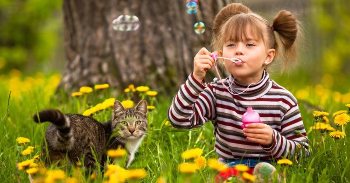 7 Important Lessons About Responsibility Kids Can Learn from Cats