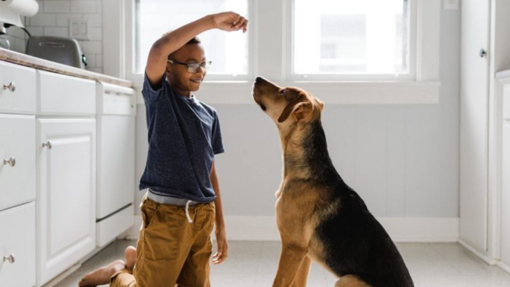 7 Ways to Keep Your Dog Active Indoors