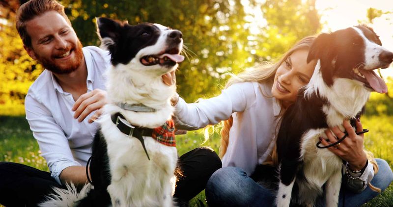 8 Amazing Benefits of Raising a Dog for Single Individuals