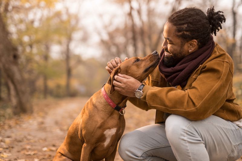 8 Amazing Benefits of Raising a Dog for Single Individuals