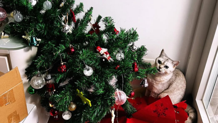 8 Clever Tips to Keep Your Cat Away from Your Christmas Tree