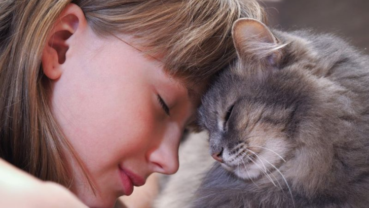 9 Fascinating Reasons Why Cats Rub Against You