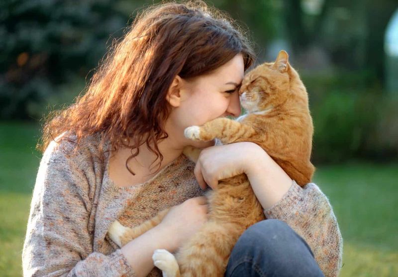 9 Fascinating Reasons Why Cats Rub Against You