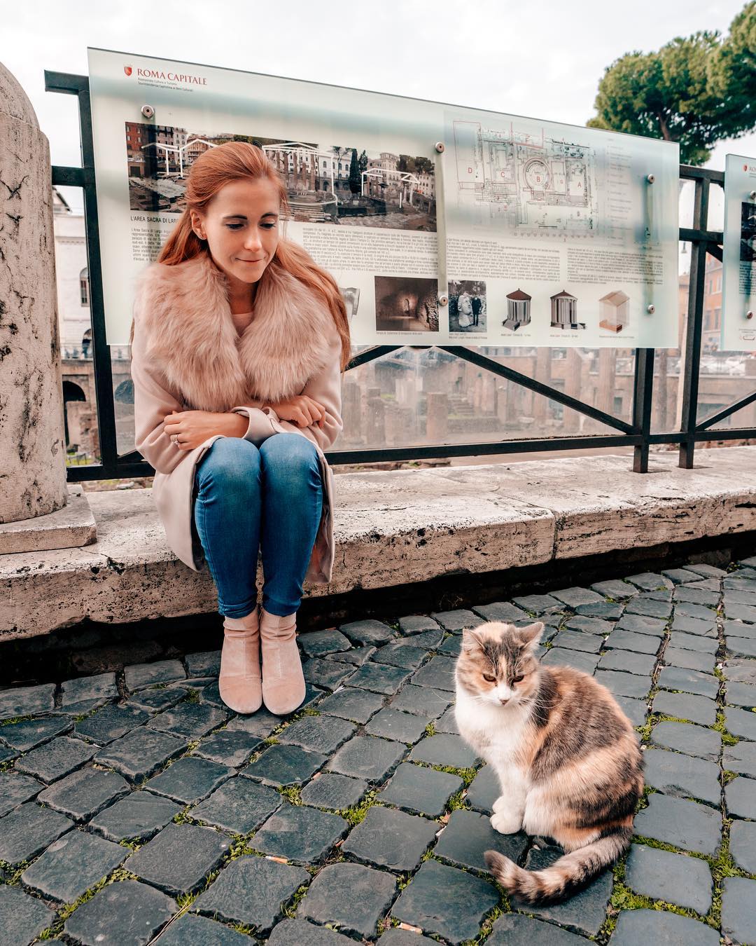 The Ultimate Guide to Cat-Friendly Destinations