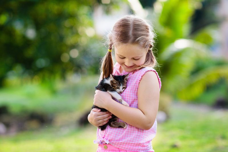 Educate About Cat Behavior