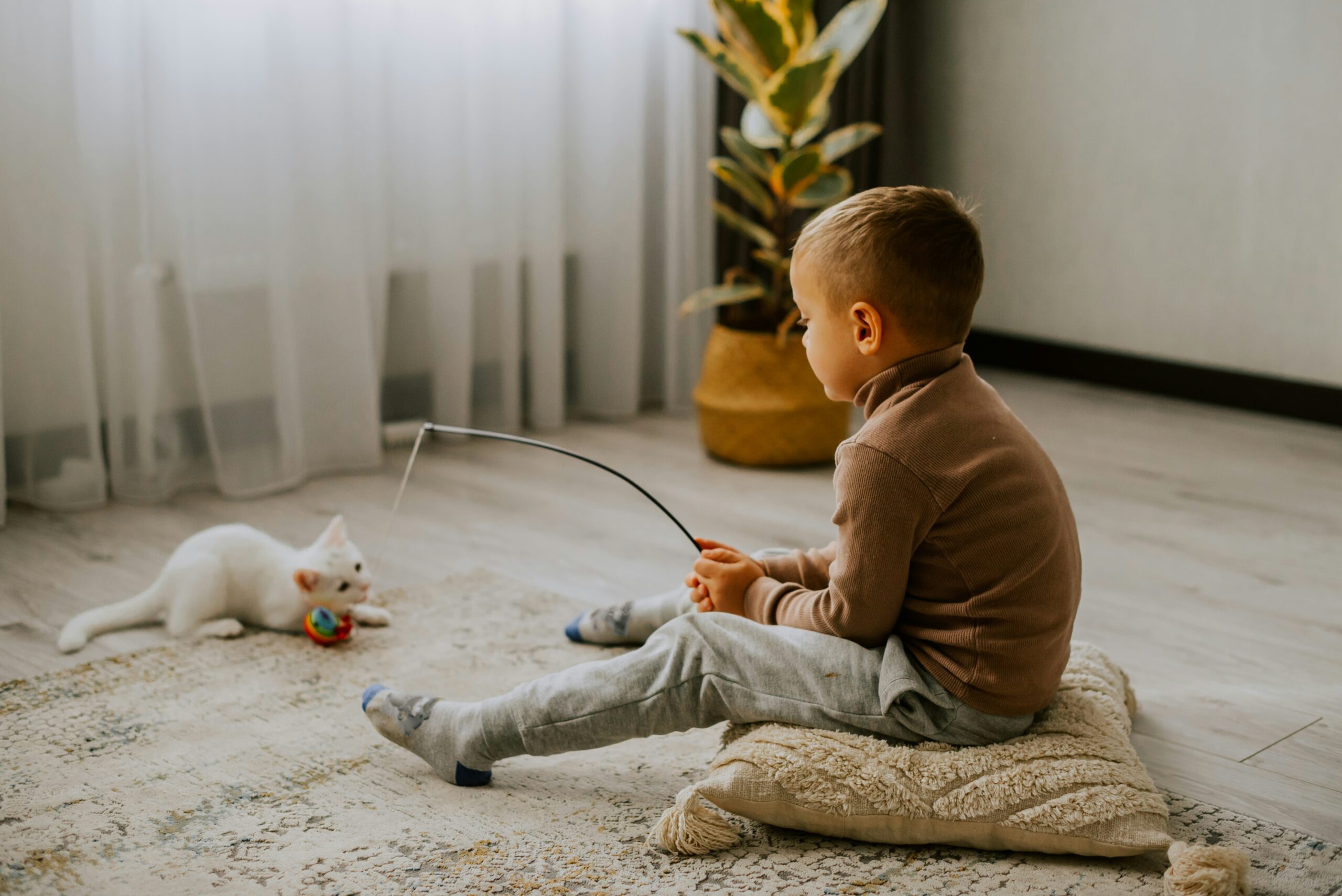 Image showcasing 10 Powerful Solutions to Create a Safe and Calming Haven for Your ...